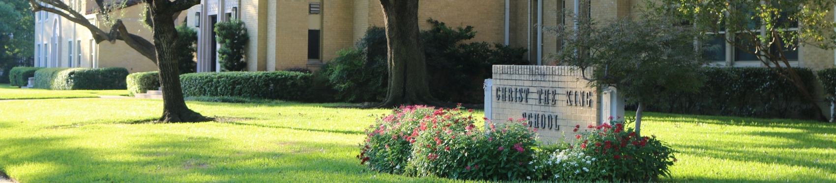 Background image for CTA section